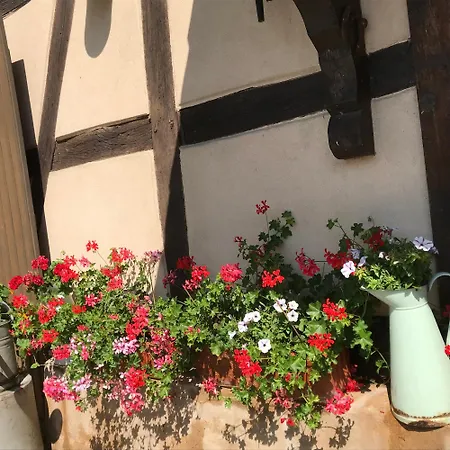 Chambres D'Hotes La Tete Dans Les Etoiles לינה וארוחת בוקר Weyersheim