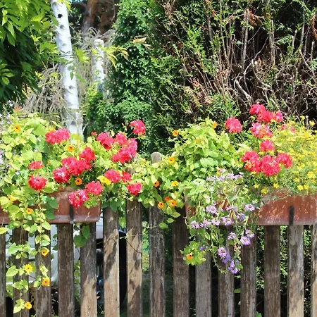 La Tete Dans Les Etoiles Oda ve Kahvaltı 3*