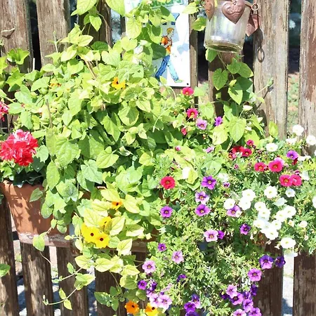 La Tete Dans Les Etoiles Oda ve Kahvaltı Weyersheim