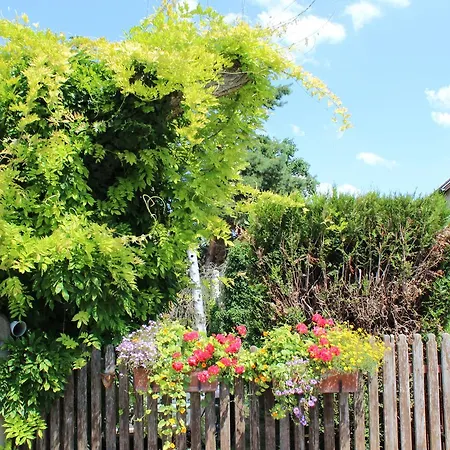 Oda ve Kahvaltı La Tete Dans Les Etoiles