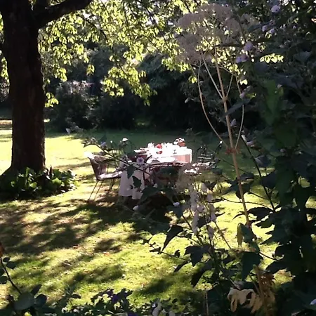 La Tete Dans Les Etoiles 3*