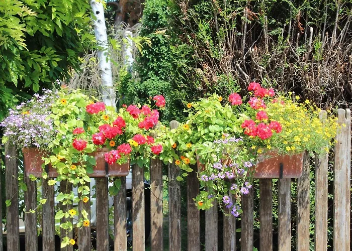 La Tete Dans Les Etoiles ベッド・アンド・ブレックファスト 3*