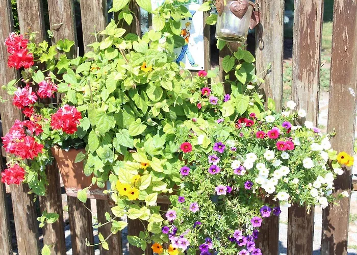 La Tete Dans Les Etoiles ベッド・アンド・ブレックファスト Weyersheim