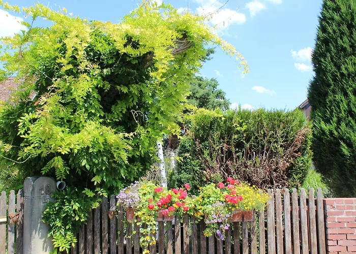 ベッド・アンド・ブレックファスト La Tete Dans Les Etoiles